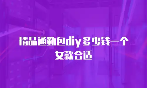 精品通勤包diy多少钱一个女款合适