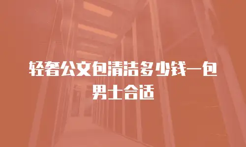 轻奢公文包清洁多少钱一包男士合适