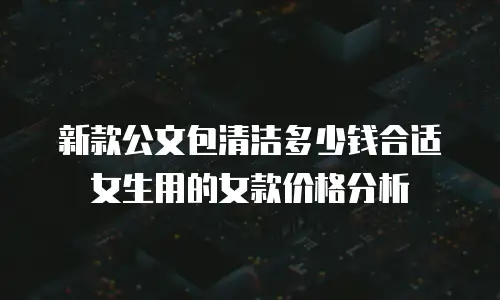 新款公文包清洁多少钱合适女生用的女款价格分析