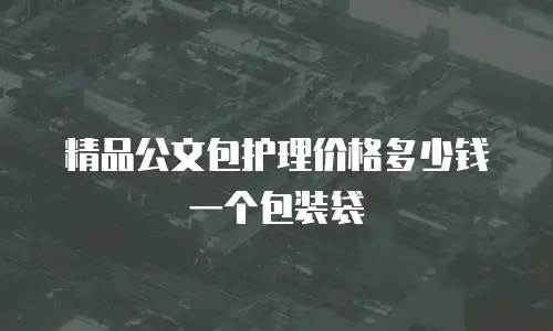 精品公文包护理价格多少钱一个包装袋