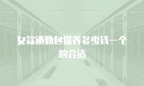 女款通勤包保养多少钱一个的合适