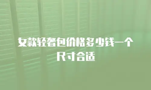 女款轻奢包价格多少钱一个尺寸合适