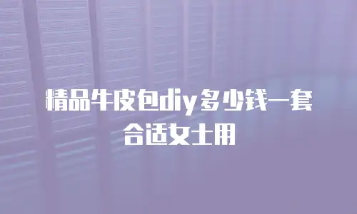 精品牛皮包diy多少钱一套合适女士用
