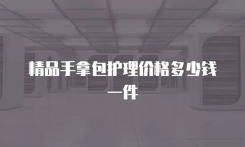 精品手拿包护理价格多少钱一件