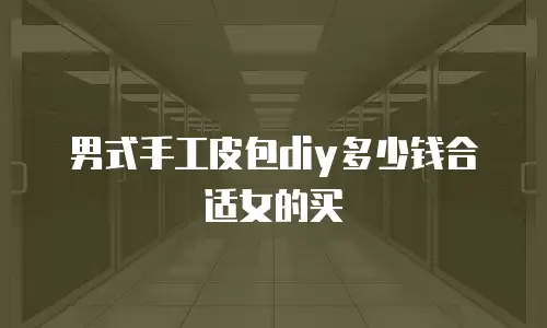 男式手工皮包diy多少钱合适女的买