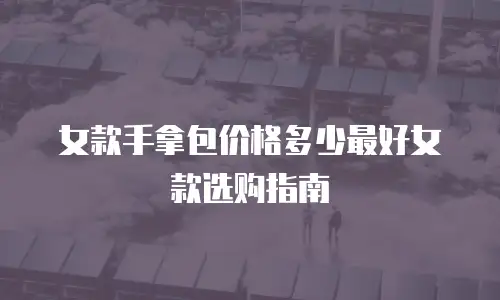女款手拿包价格多少最好女款选购指南