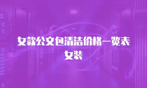女款公文包清洁价格一览表女装