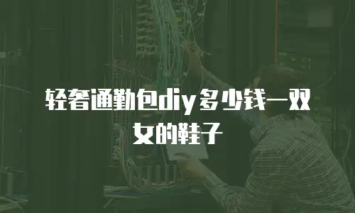 轻奢通勤包diy多少钱一双女的鞋子