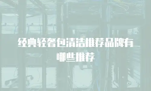 经典轻奢包清洁推荐品牌有哪些推荐