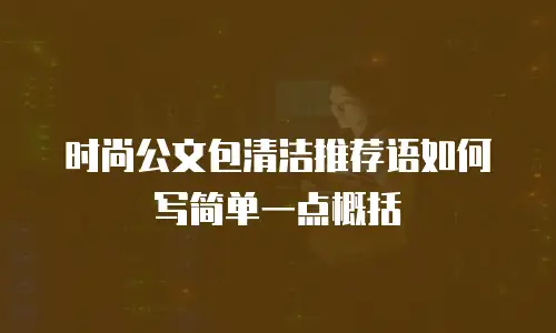 时尚公文包清洁推荐语如何写简单一点概括