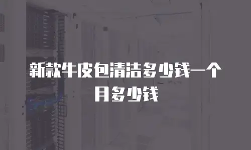 新款牛皮包清洁多少钱一个月多少钱