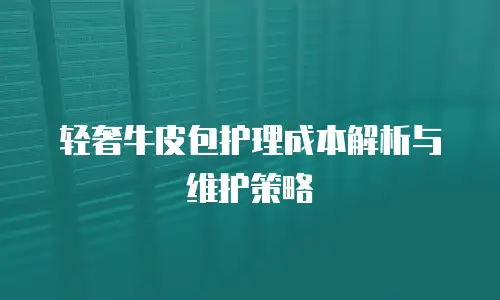 轻奢牛皮包护理成本解析与维护策略