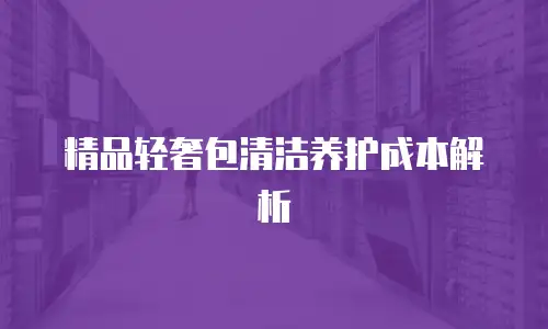 精品轻奢包清洁养护成本解析