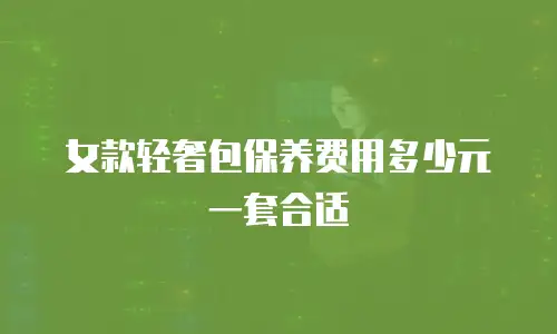 女款轻奢包保养费用多少元一套合适