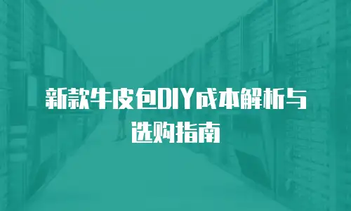 新款牛皮包DIY成本解析与选购指南