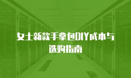 女士新款手拿包DIY成本与选购指南