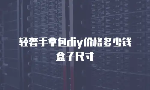 轻奢手拿包diy价格多少钱盒子尺寸