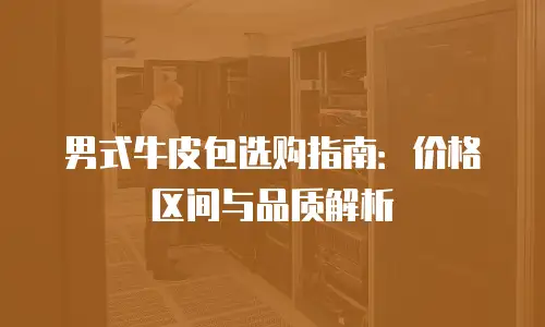 男式牛皮包选购指南：价格区间与品质解析
