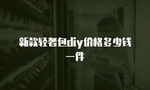 新款轻奢包diy价格多少钱一件