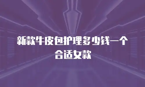 新款牛皮包护理多少钱一个合适女款
