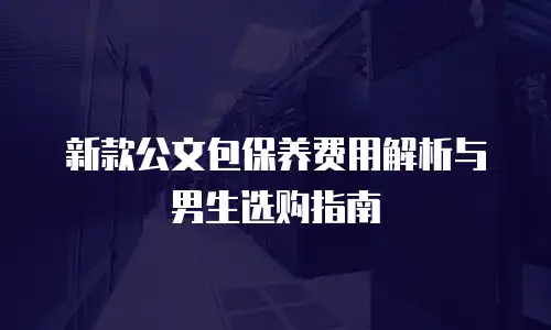 新款公文包保养费用解析与男生选购指南
