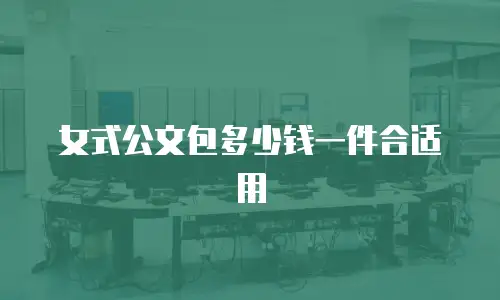 女式公文包多少钱一件合适用