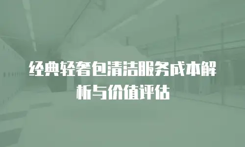 经典轻奢包清洁服务成本解析与价值评估