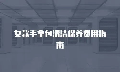 女款手拿包清洁保养费用指南