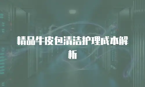 精品牛皮包清洁护理成本解析