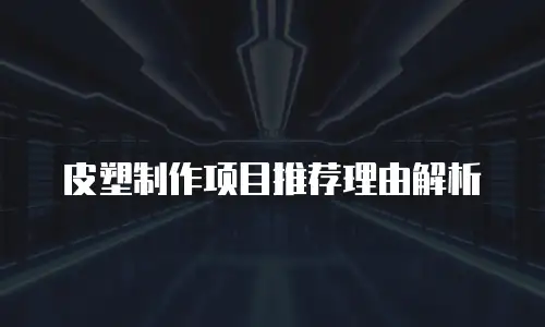 皮塑制作项目推荐理由解析