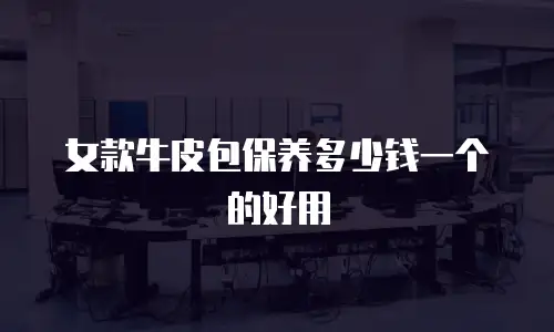 女款牛皮包保养多少钱一个的好用