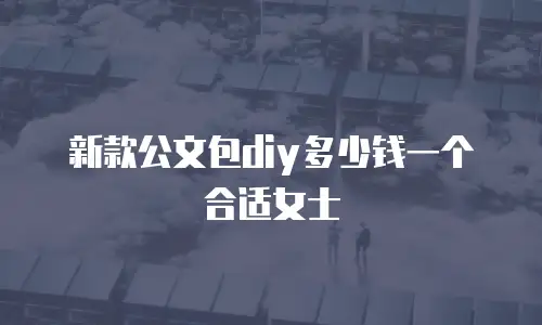 新款公文包diy多少钱一个合适女士