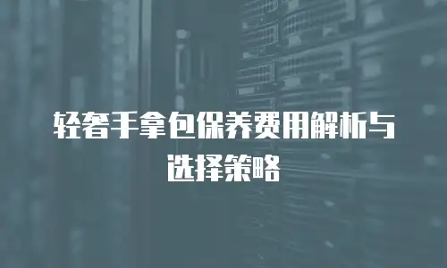 轻奢手拿包保养费用解析与选择策略
