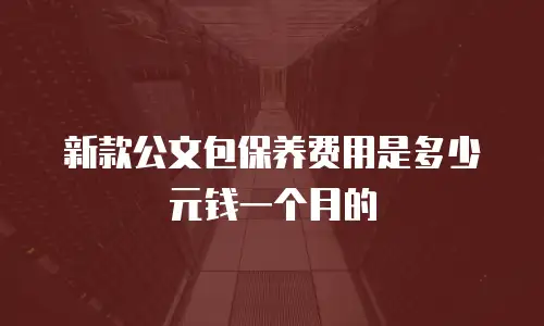 新款公文包保养费用是多少元钱一个月的