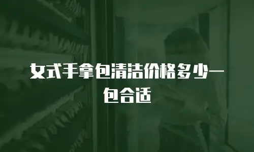 女式手拿包清洁价格多少一包合适