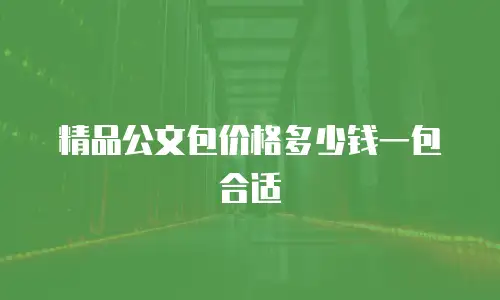 精品公文包价格多少钱一包合适
