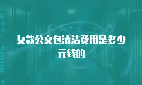 女款公文包清洁费用是多少元钱的