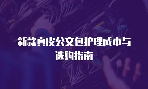 新款真皮公文包护理成本与选购指南