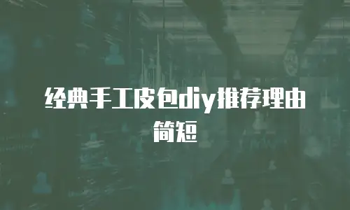 经典手工皮包diy推荐理由简短