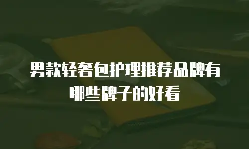 男款轻奢包护理推荐品牌有哪些牌子的好看
