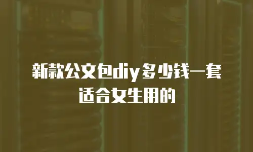 新款公文包diy多少钱一套适合女生用的