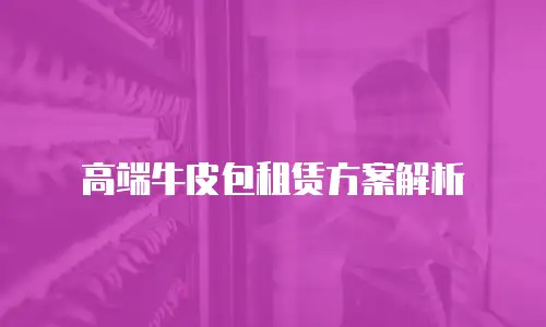 高端牛皮包租赁方案解析