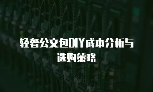 轻奢公文包DIY成本分析与选购策略