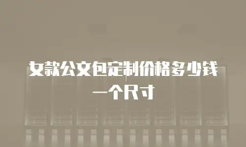 女款公文包定制价格多少钱一个尺寸