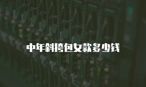 中年斜挎包女款多少钱
