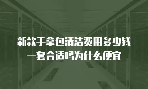 新款手拿包清洁费用多少钱一套合适吗为什么便宜