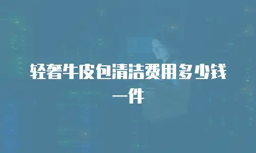 轻奢牛皮包清洁费用多少钱一件