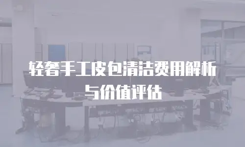轻奢手工皮包清洁费用解析与价值评估