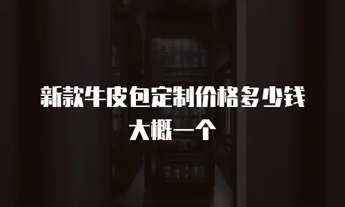 新款牛皮包定制价格多少钱大概一个