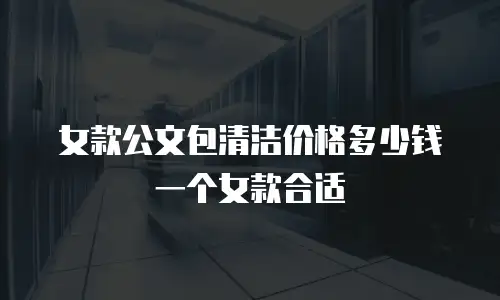 女款公文包清洁价格多少钱一个女款合适